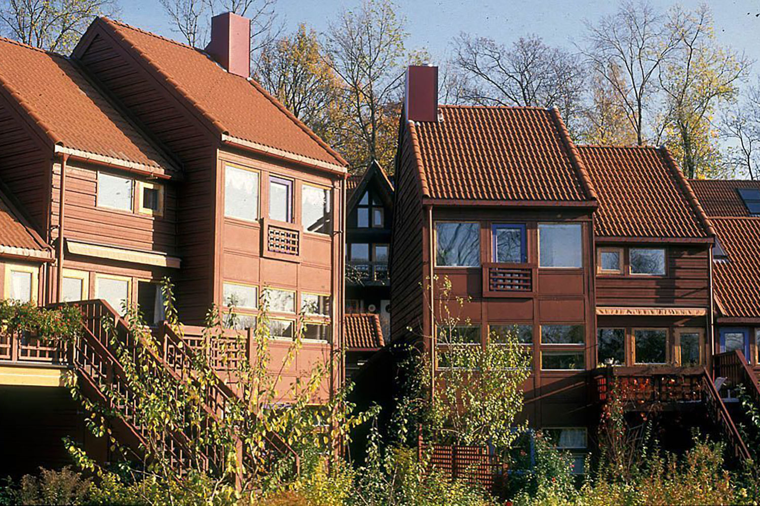 Giskehagen